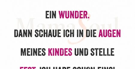 das wunder im alltag entdecken