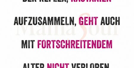 der ewige kastaniensammelreflex